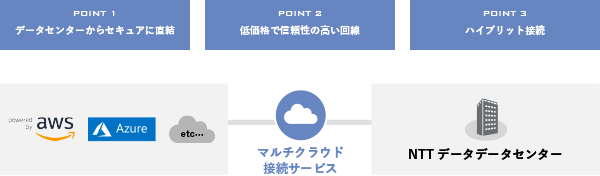 マルチクラウド接続サービス